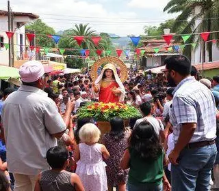 Projeto Bairros Vivos